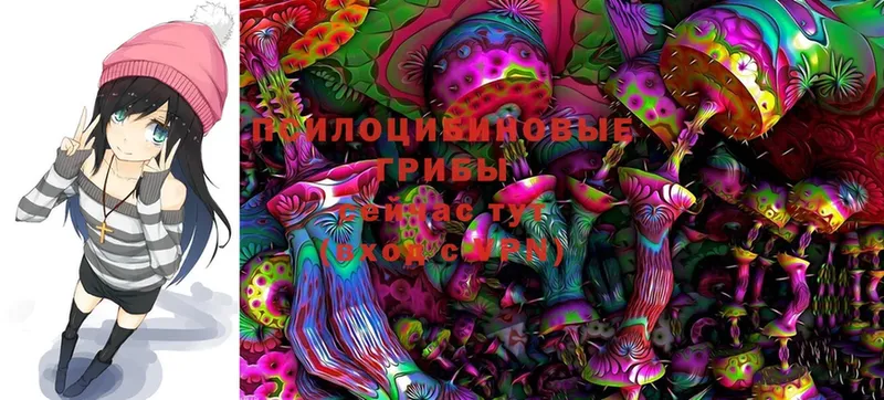 Галлюциногенные грибы MAGIC MUSHROOMS  Велиж 